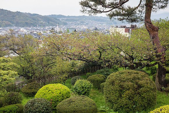Day 6 Kanazawa-0029 -DSCF0956