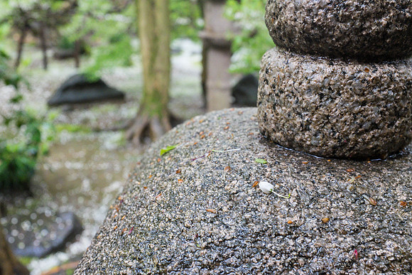 Day 6 Kanazawa-0170 -DSCF1079