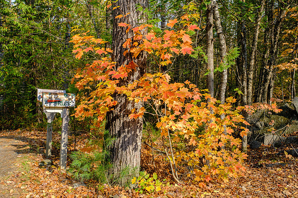 untitled-1454 -2020-10-10