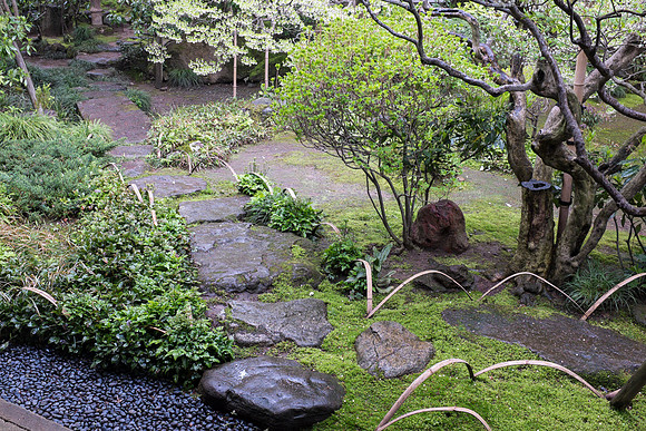 Day 6 Kanazawa-0141 -DSCF1063