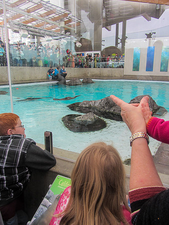 NE Aquarium-22