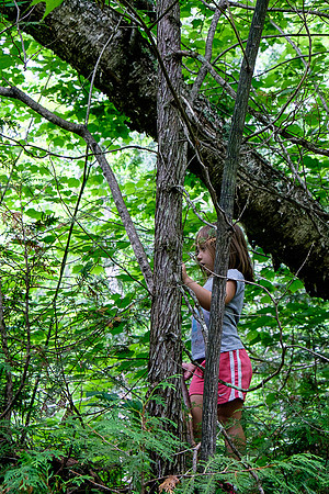 Kiddie Kamp 2015-4086 -2015-07-21