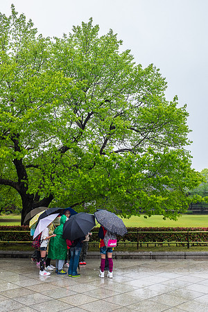 Day 9   Kyoto-0215 -DSCF1621
