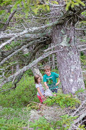 Kiddie Kamp 2015-4118 -2015-07-21