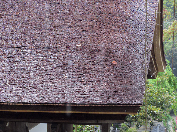 Japan - Judy-0038 -IMG_3254