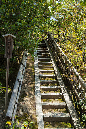 Day 9   Kyoto-0026 -_MG_6133
