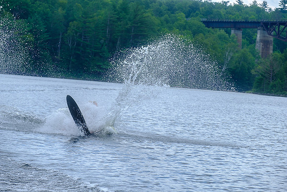 Summer 2018-6113 -2018-08-01