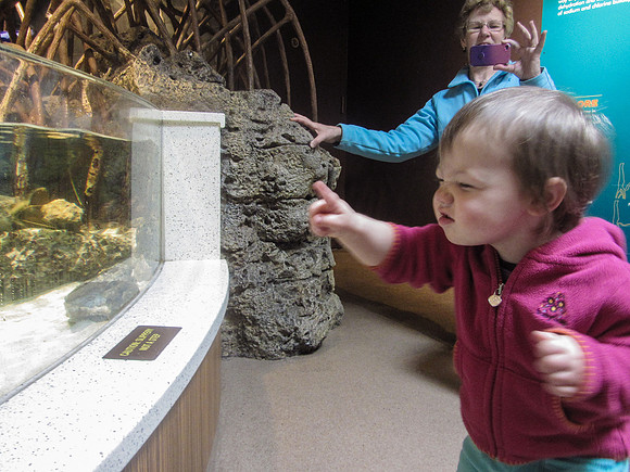 NE Aquarium-6