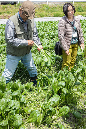 Day 11 - Farm-0134 -DSCF1895