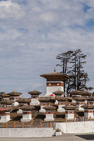 _MG_1339