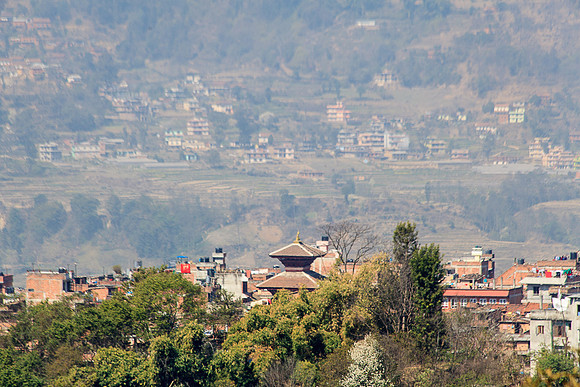 _MG_2365