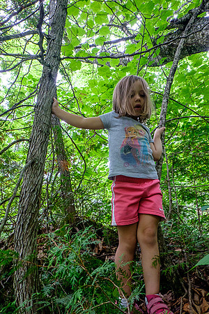 Kiddie Kamp 2015-4096 -2015-07-21