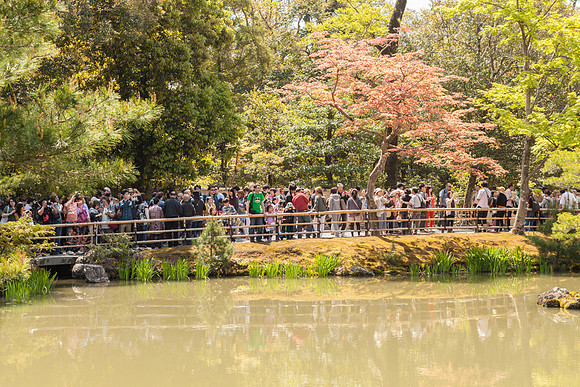 Day 9   Kyoto-0017 -_MG_6124