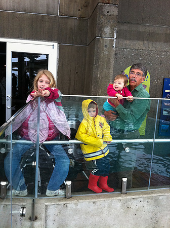 NE Aquarium-33