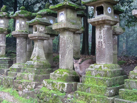 Japan - Judy-0032 -IMG_3247