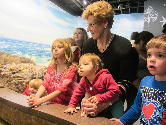 NE Aquarium-18