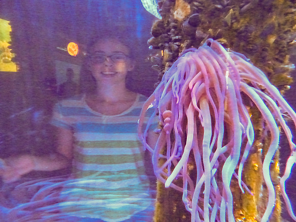 Grandkids in Florida 2016-1060971 -2016-04-28