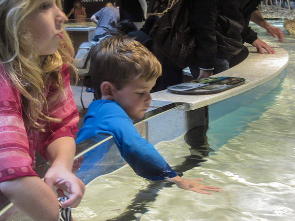 NE Aquarium-8