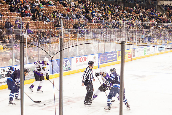 Monarch Carter-3529-2013-02-15