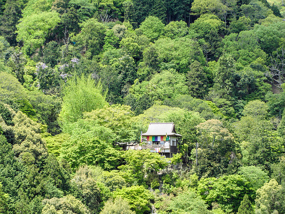 Japan - Judy-0074 -IMG_3386