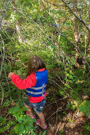 Kiddie Kamp 2015-6427 -2015-07-22