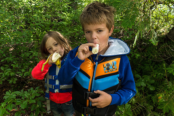 Kiddie Kamp 2015-6425 -2015-07-22