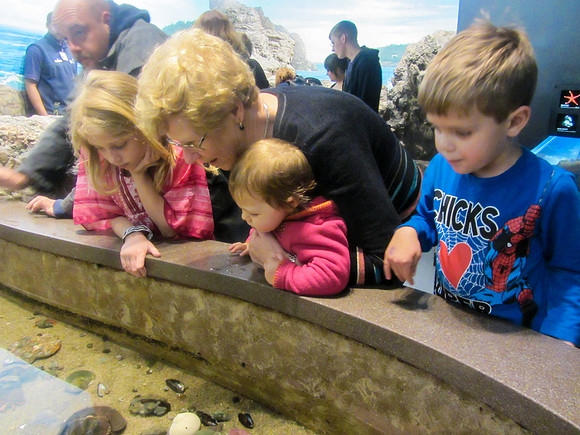NE Aquarium-17