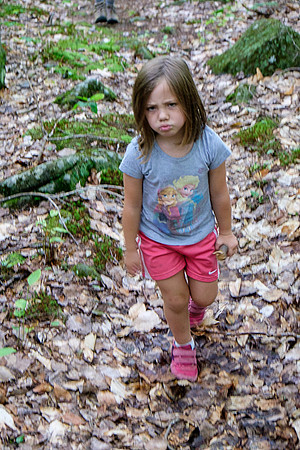 Kiddie Kamp 2015-4109 -2015-07-21