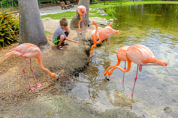 Reagan & Carter in Fla 2014-6555 -2014-04-30