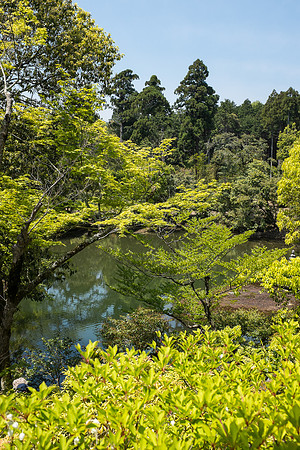 Day 9   Kyoto-0063 -DSCF1480
