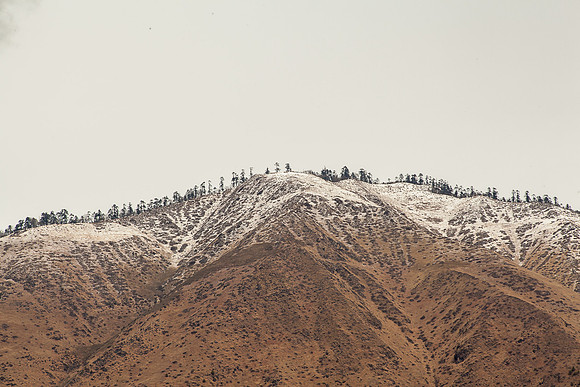 _MG_1154