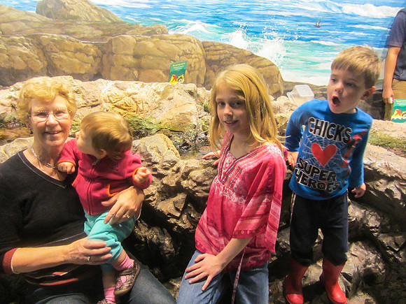 NE Aquarium-14