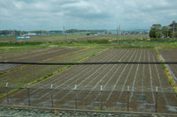 Day 5-0133 -DSCF0852