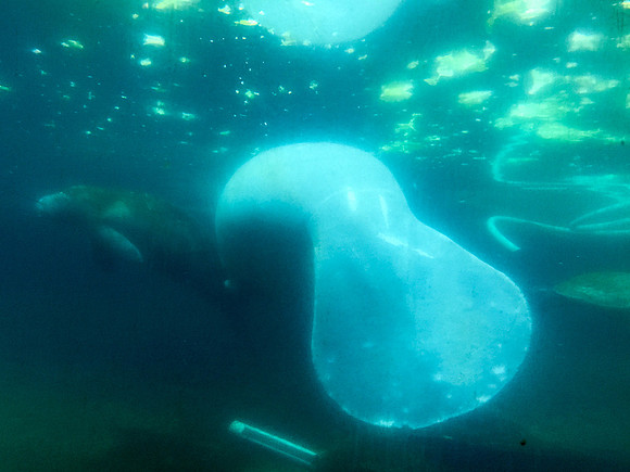Rebecca et al 2015-3317 -2015-02-25