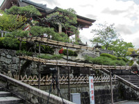 Japan - Judy-0073 -IMG_3287