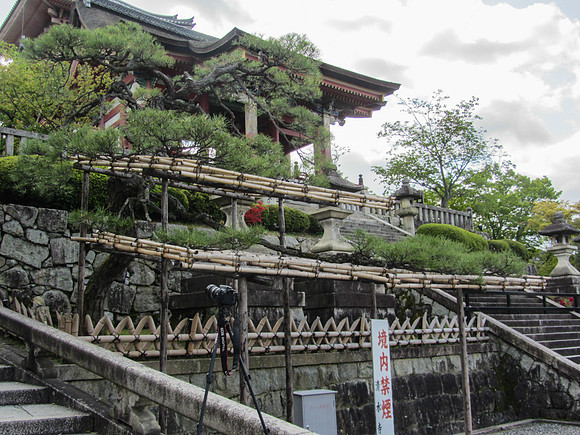 Japan - Judy-0073 -IMG_3287
