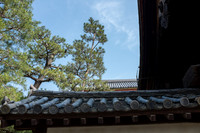 Day 9   Kyoto-0005 -DSCF1415