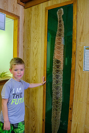 Reagan & Carter in Fla 2014-6567 -2014-04-30