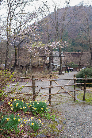 Day 7 - Shirakawa-go-0157 -DSCF1200