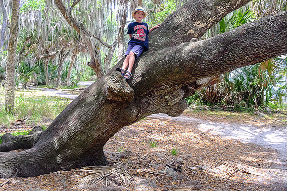 Reagan & Carter in Fla 2014-6669 -2014-05-01