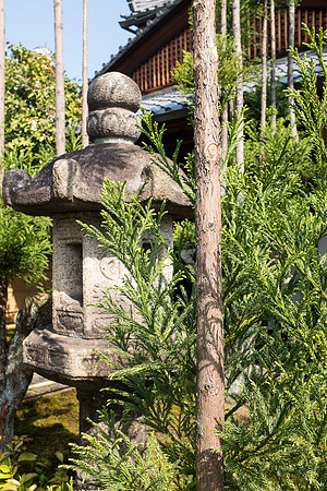 Day 9   Kyoto-0013 -DSCF1419