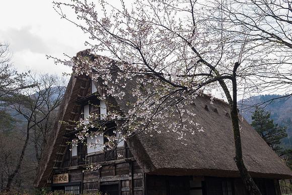 Day 7 - Shirakawa-go-0134 -DSCF1189