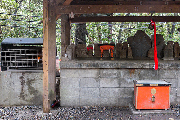 Day 10 Koyoto Geisha-0229 -DSCF1778