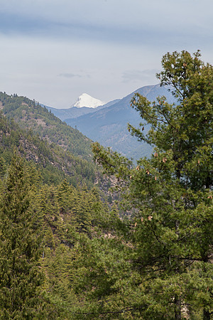 _MG_0869