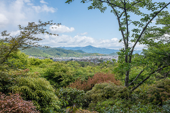 Day 12 - Kyoto-0252 -DSCF2117