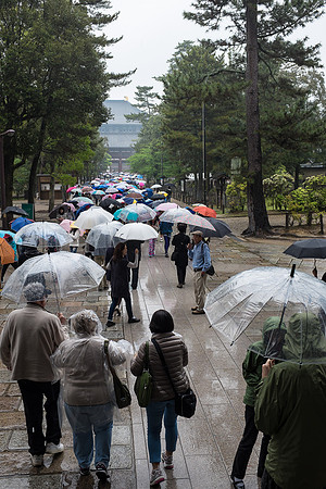 Day 9   Kyoto-0049 -DSCF1538