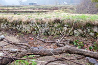 Day 7 - Shirakawa-go-0025 -DSCF1134