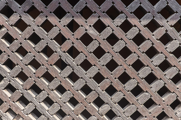 DSCF4553