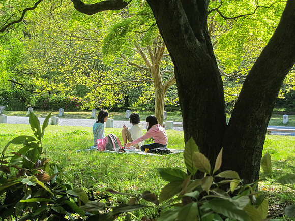 Japan - Judy-0102 -IMG_3414