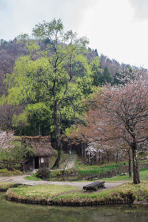 Day 7 - Shirakawa-go-0153 -DSCF1198